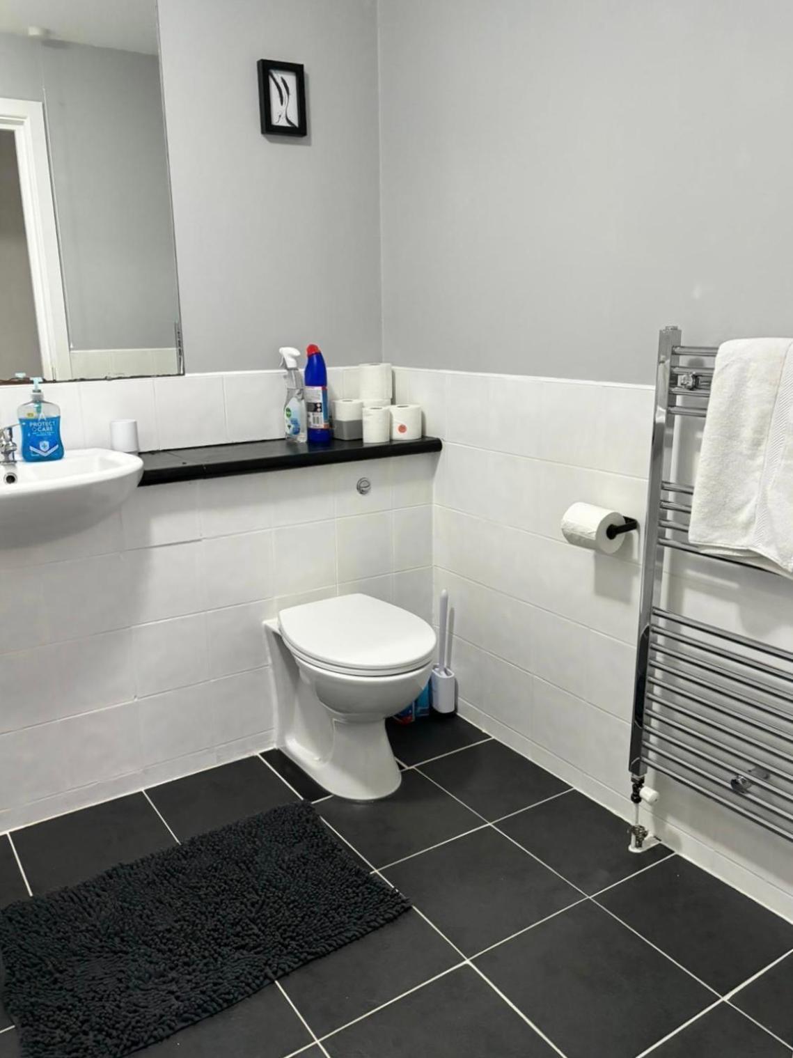 2 Bedroom Ground Floor Apartment Belfast Bagian luar foto